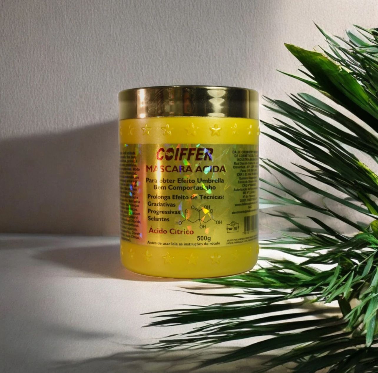 MASCARILLA ACIDA BRILLO DESLUMBRANTE COIFFER 500G